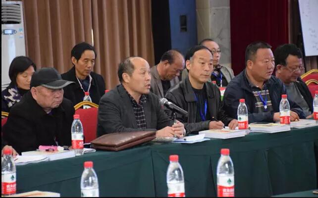 2017河南千人徒步大会 暨中国·西峡老君洞老子文化节盛装开幕