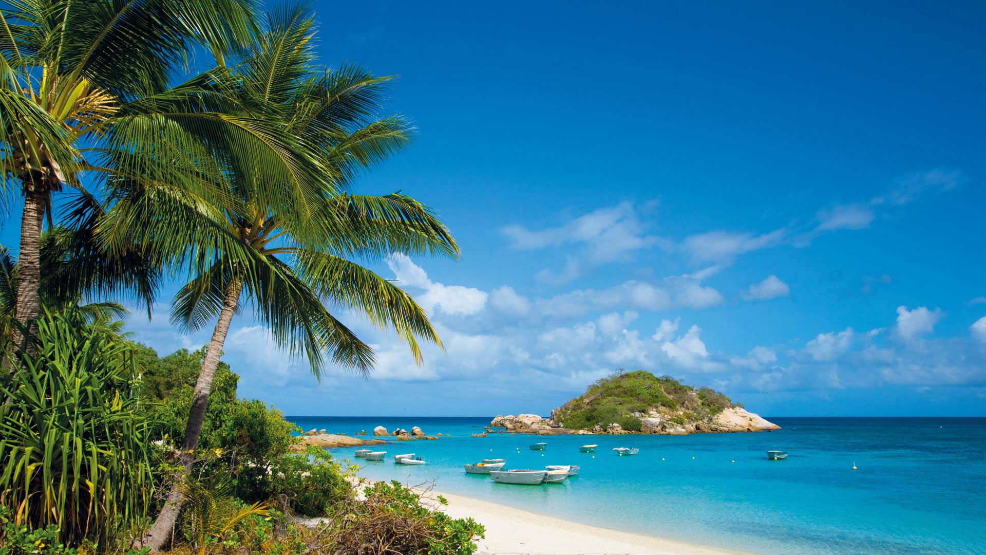 三亚国际化旅游发展监测体系正式开建