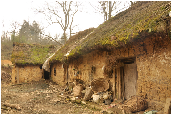 吃黑窝头穿补丁 许家印回忆穷苦过往谈扶贫初心