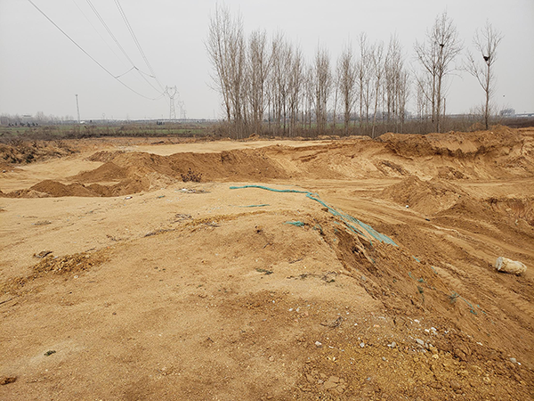 镇平县彭营镇张庄林场沙土遭疯狂盗挖