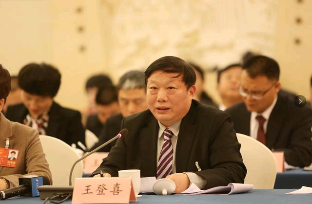 王登喜:构建"大十字"格局 助力郑州大都市区建设