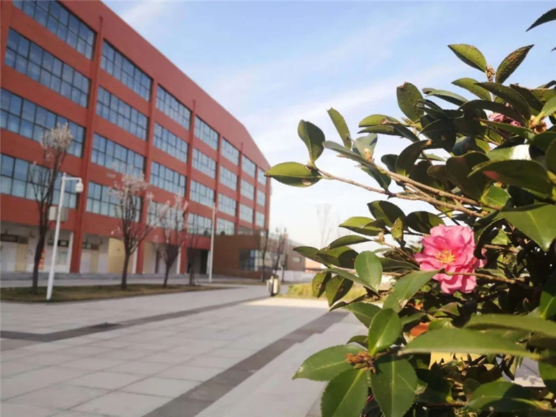 鄭州市二七區培育小學駐馬店市實驗幼兒園孟津縣雙語實驗學校許昌市第