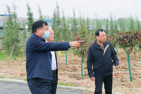 刘军民调研指导汝南县城市绿化工作