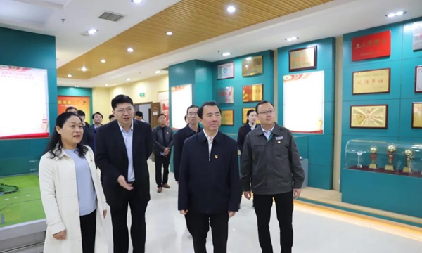 戚存杰赴确山县指导党史学习工作