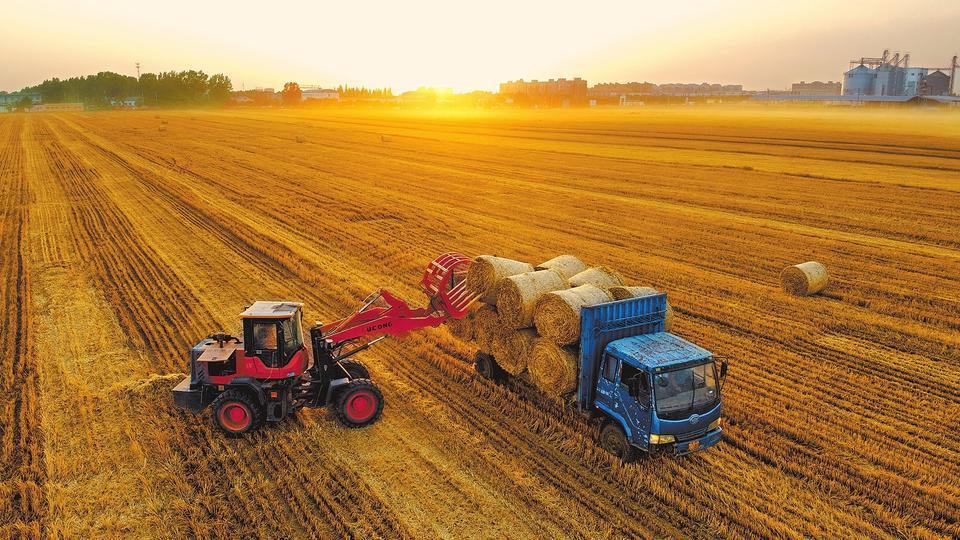 秸秆加工利用已经成为当地循环联动发展的一个重要支撑产业,秸秆打成