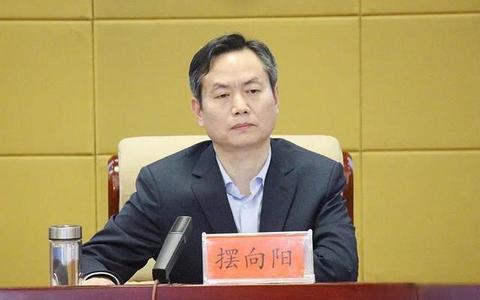 摆向阳任商丘市人民政府副市长,代理市长