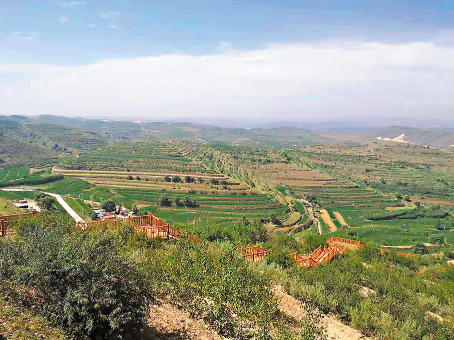 美丽乡村宁夏彭阳金鸡坪 梯田公园一道靓丽风景线