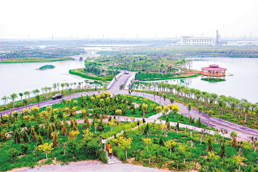天津西青区王稳庄镇生态廊道远眺. 中新社